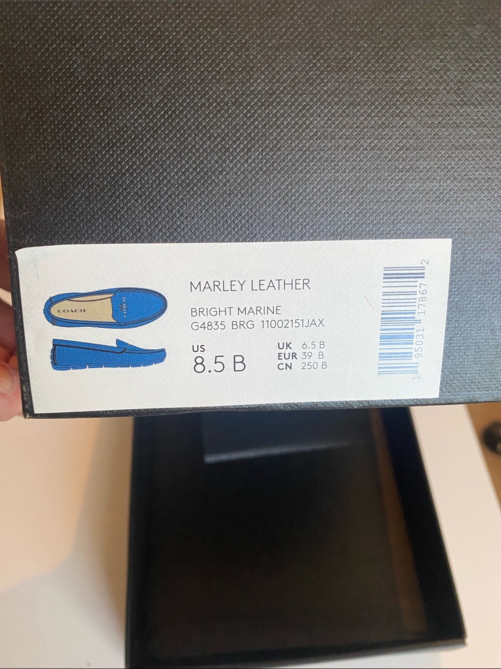 NIB Coach Marley Loafers in Bright Marine Croco Leather Size 8.5 - Picture 10 of 11